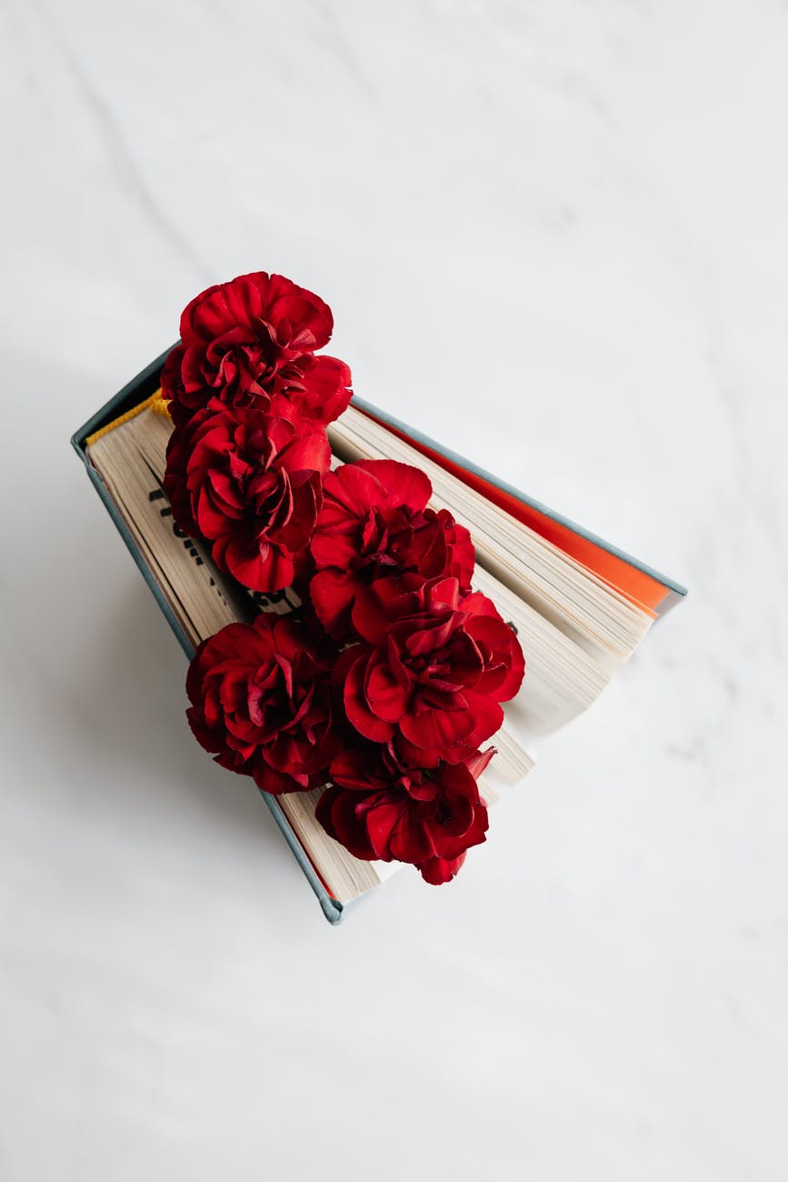 book with red blossoms between pages