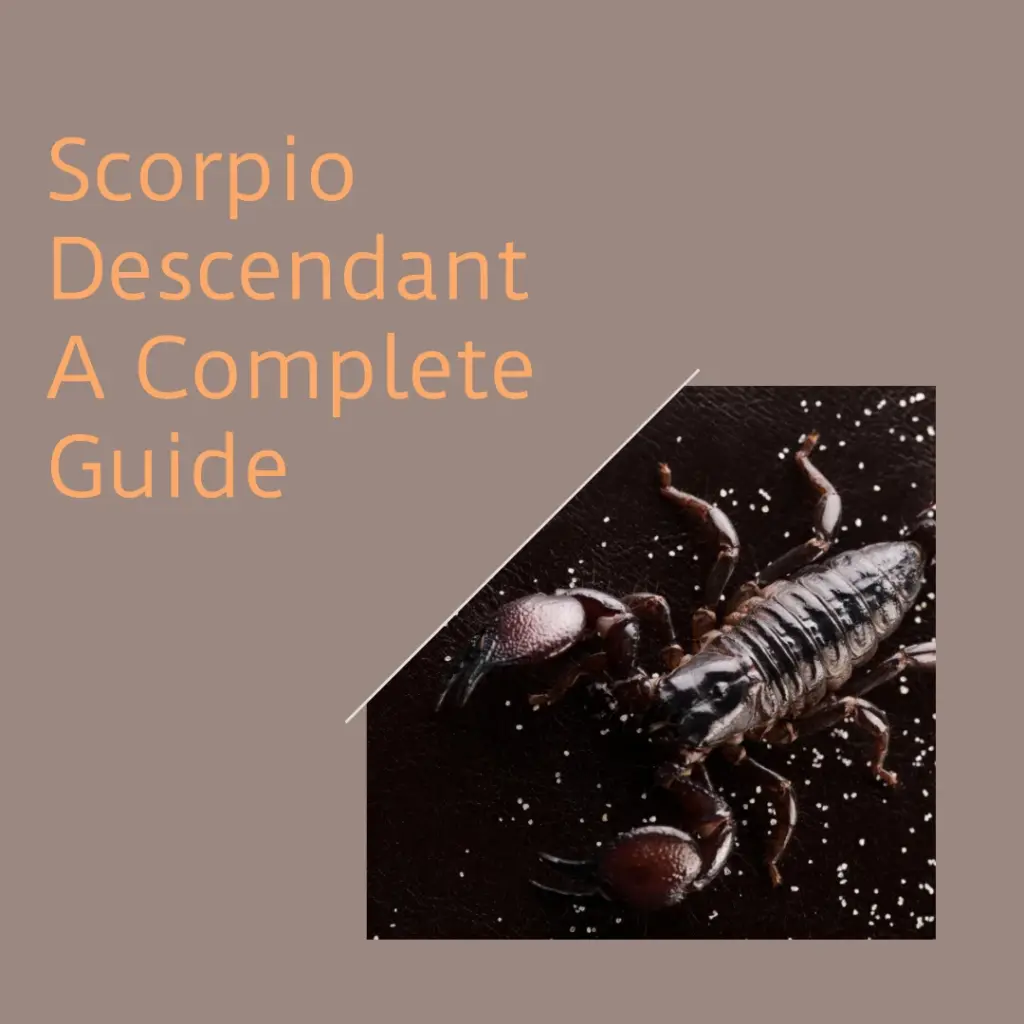 Scorpio Descendant – A Complete Guide - Cosmic Deity